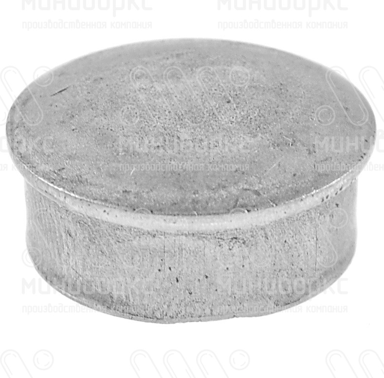 Заглушки для круглой трубы 30 – 110219567F | картинка 1